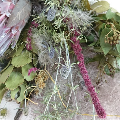 スモークツリーとプロテアのドライフラワースワッグ スワッグ lea pua