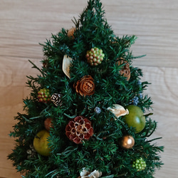 【再販売】花器変更になります～ナチュラルグリーンのクリスマスツリー 2枚目の画像