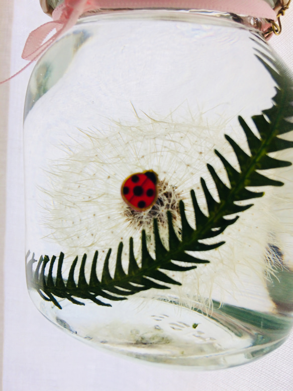 ハーバリウムたんぽぽの綿毛（オーバルてんとう虫） 5枚目の画像