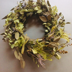 ユーカリのドライグリーン wreathe 2枚目の画像