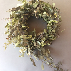 ユーカリのドライグリーン wreathe 6枚目の画像