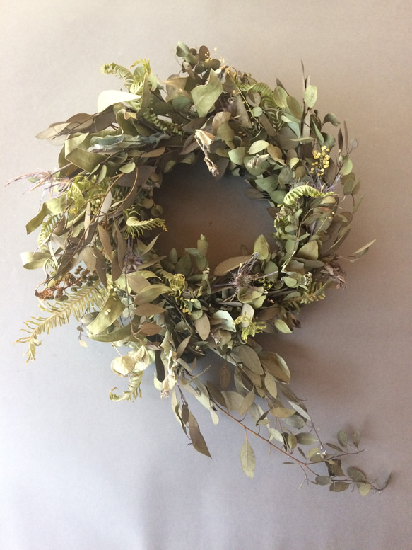 ユーカリのドライグリーン wreathe 6枚目の画像