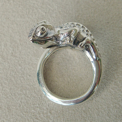 蛙の王様リング 大 シルバーアクセサリー×K18(ピンクゴールド) かえる