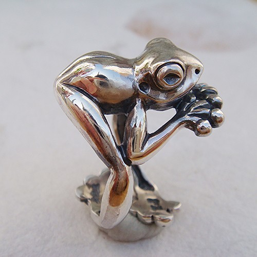 シルバーアクセサリー　カエルモチーフ　蛙　リング　ピアス　トップ　4点セット 蛙（カエル）ピアス シルバーアクセサリー かえる カエル 動物