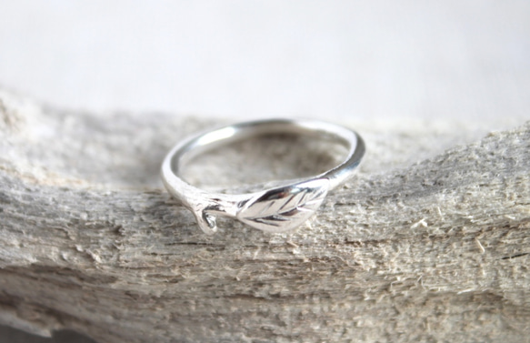 One leaf ring（シルバーリング） 1枚目の画像