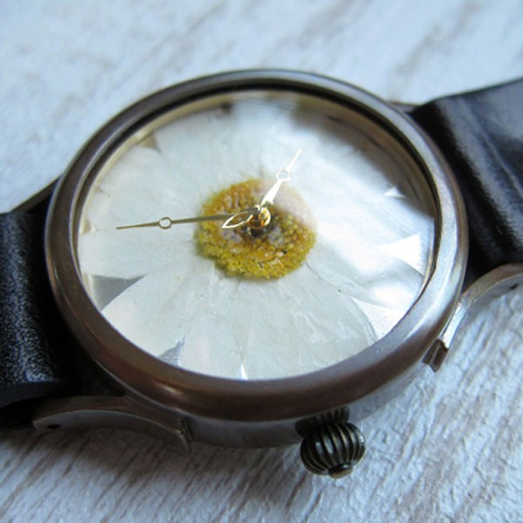 白色英語雛菊錶盤手工手錶日本製造To木皮革 第2張的照片