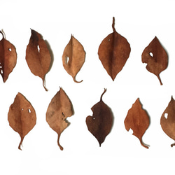 レザーブローチ【fallen leaves】type.10 1枚目の画像