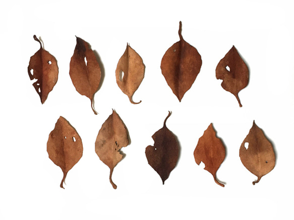 レザーブローチ【fallen leaves】type.10 1枚目の画像