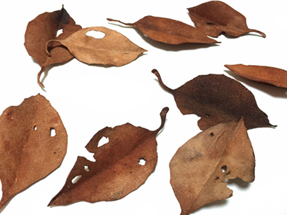 レザーブローチ【fallen leaves】type.10 2枚目の画像