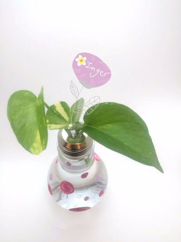 IDEA電燈泡花瓶-IDEA開花花(大) 第3張的照片