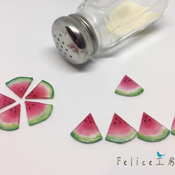 Summer piece  △suica△  ピアス 1枚目の画像