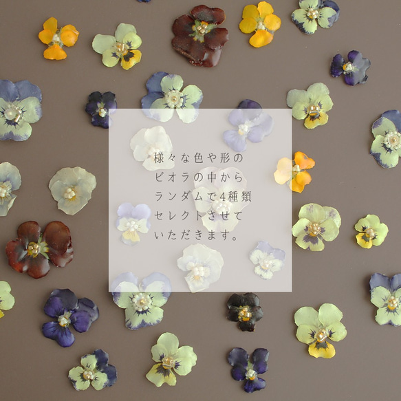 ビオラの耳飾りの詰め合わせ｜viola's coffret｜ピアス＆イヤリング｜No.165 3枚目の画像