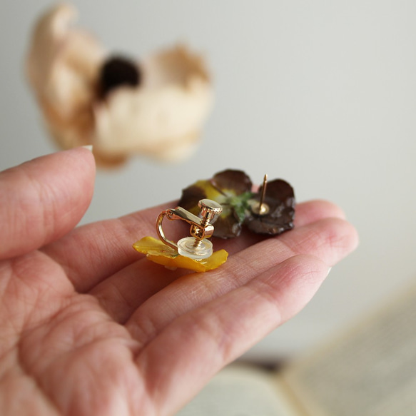 ビオラの耳飾りの詰め合わせ｜viola's coffret｜ピアス＆イヤリング｜No.165 5枚目の画像