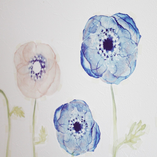 Anemone 色鉛筆/水彩画（123（ワンツースリー）の記念日 | 風の向く 