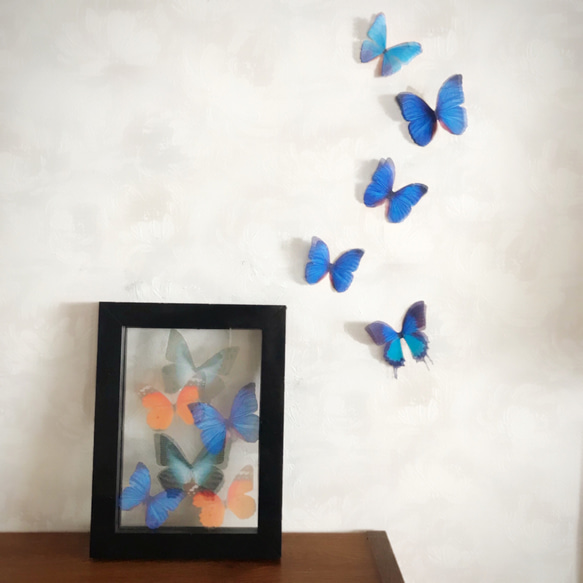 ちょうちょのパーツ 5cm シフォン　オーガンジー 素材　蝶 パーツ ブルー 青い蝶 蝶々 モルフォ 布 モチーフ 20 9枚目の画像