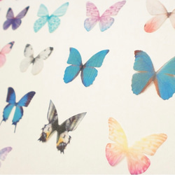 ちょうちょのパーツ 3cm シフォン オーガンジー 蝶 素材 蝶々パーツ ピンク バタフライ 12 7枚目の画像
