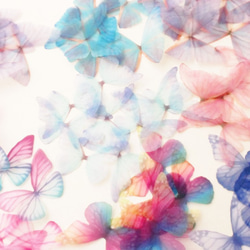 ちょうちょのパーツ 4cm シフォン・オーガンジー素材 蝶々パーツ 蝶の素材 ピンク ホワイト 7 2枚目の画像