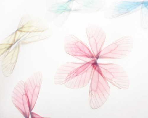 4枚羽シフォン蝶々（大）15枚 蝶々パーツ シフォン蝶々 蝶 シフォン