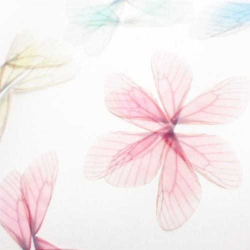 シフォンの羽パーツ ピンク シフォン オーガンジー 羽 素材 蝶の羽 生地 🦋SHOP LALA 通販 4261766｜Creema(クリーマ) 
