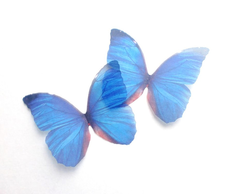1_00b11e043e6e0cfa94d052b8d5f9