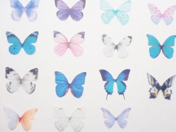 ちょうちょのパーツ 3cm シフォン ・ オーガンジー 素材　蝶 パーツ ブルー グレー シジミ蝶 38 3枚目の画像