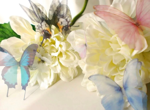 ちょうちょのパーツ 4cm　シフォン オーガンジー 素材　青い蝶 蝶 パーツ モルフォ 蝶々 布製 20 4枚目の画像