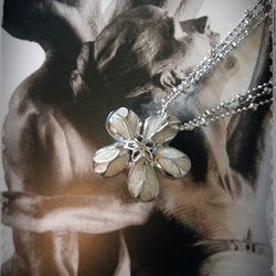 -Handmade- 純銀 香氛 珍珠乾燥花項鍊 第3張的照片