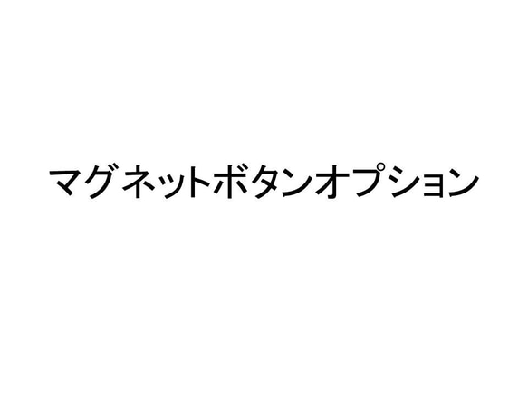 マグネットボタン/追加 1枚目の画像