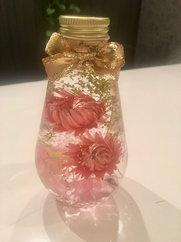 ハーバリウム ピンクのシルバーデイジー ハーバリウム・植物標本 ♡bee  