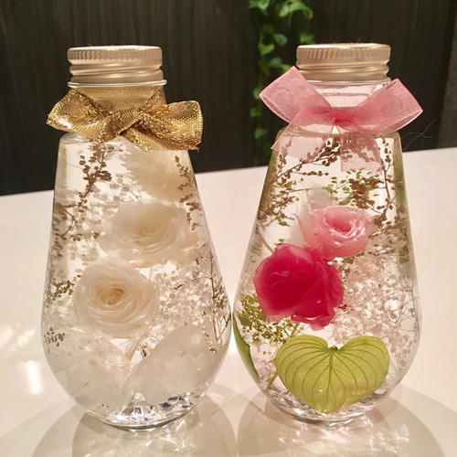 ハーバリウム ピンクのシルバーデイジー ハーバリウム・植物標本 ♡bee  