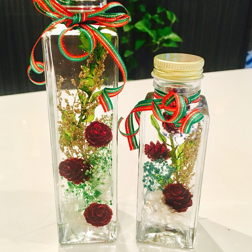 ハーバリウム クリスマス二本セット ハーバリウム・植物標本 ♡bee-bee  