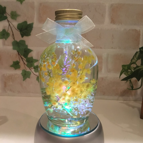 ハーバリウム ティンカーベル ハーバリウム・植物標本 ♡bee-bee 