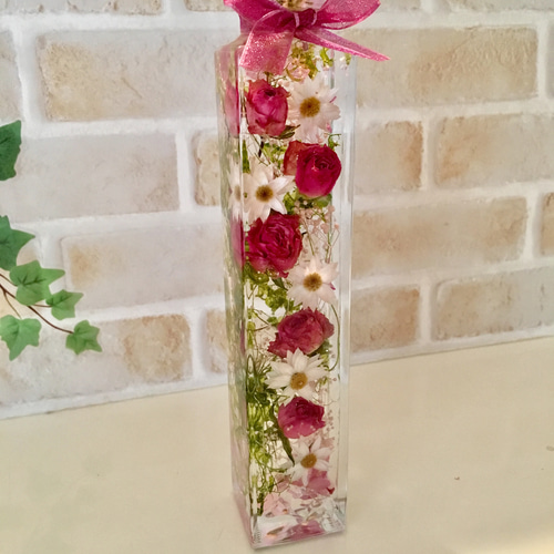 ハーバリウム ピンクのツタ薔薇 ハーバリウム・植物標本 ♡bee