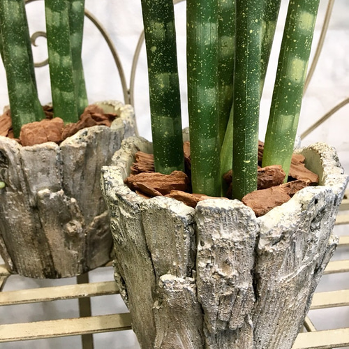 フェイクグリーン・おしゃれなアートプランツ♪【サンスベリア