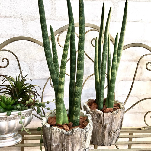 フェイクグリーン・おしゃれなアートプランツ♪【サンスベリア