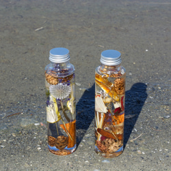 （参考）ミニハーバリウムとドライフルーツ1枚とミニアーティフィシャルフラワー 0_d8b9aba0a42ab457eb4222e444e7