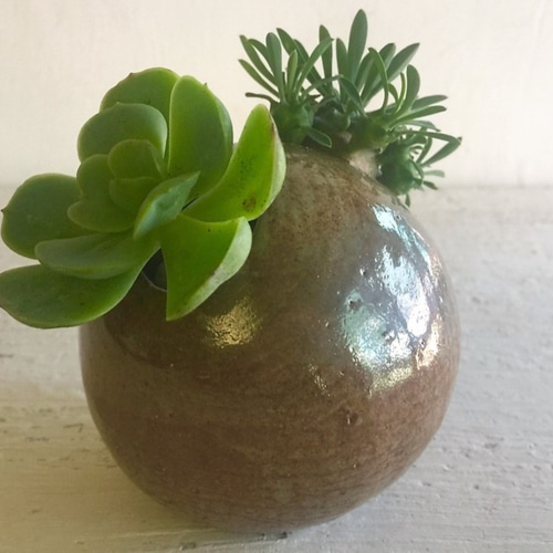 丸穴鉢植えシリーズ - 二次色開き_陶器植木鉢 一輪挿し・花瓶