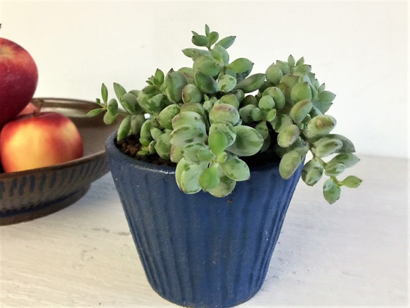 タンニンブルーシンプルなストレートグレイン_陶器の花鉢植え 1枚目の画像