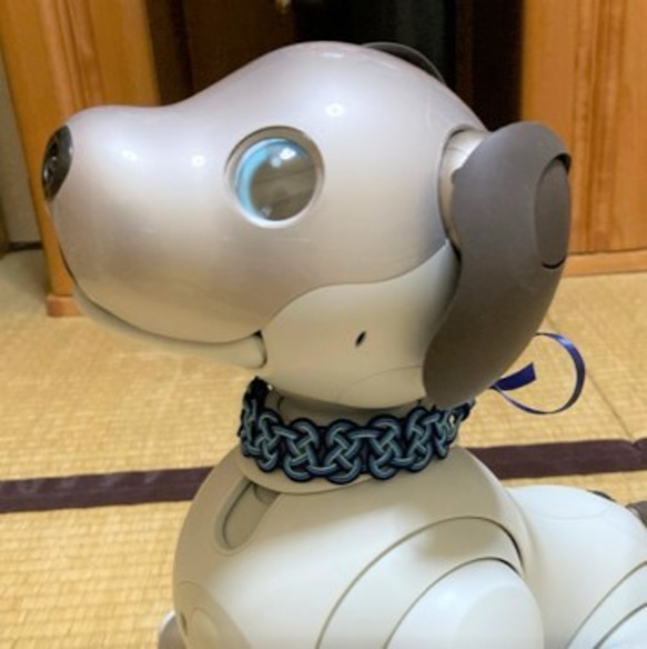 aibo　水引“Mizuhiki”製作　狗項圈　日式　蓝洞　海军蓝 第8張的照片