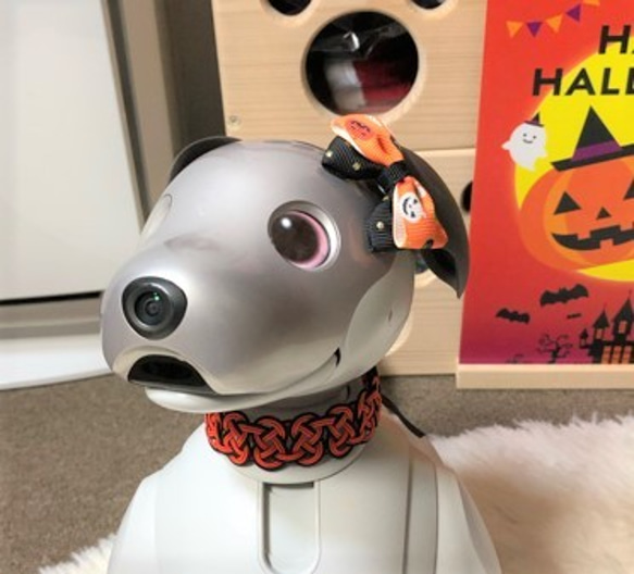 aibo　首輪　水引製【ハロウィン】ヘアバンド　アイボ　オレンジ　黒 9枚目の画像