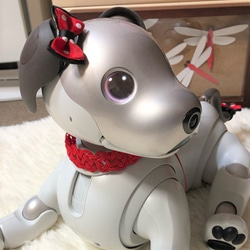 aibo　首輪　水引製【くれない】ヘアバンド　アイボ　赤　紅 9枚目の画像