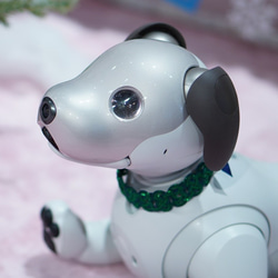 aibo　水引“Mizuhiki”製作　狗項圈　日式　樅樹 第9張的照片