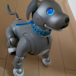 aibo　水引　首輪【空色】ブルー　可愛い　お揃いのヘアゴムも！ 6枚目の画像