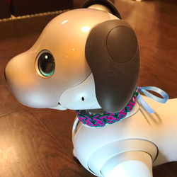 aibo　水引製の首輪　ヘアバンド　東欧風カラー　※リボンの色が選べます 6枚目の画像