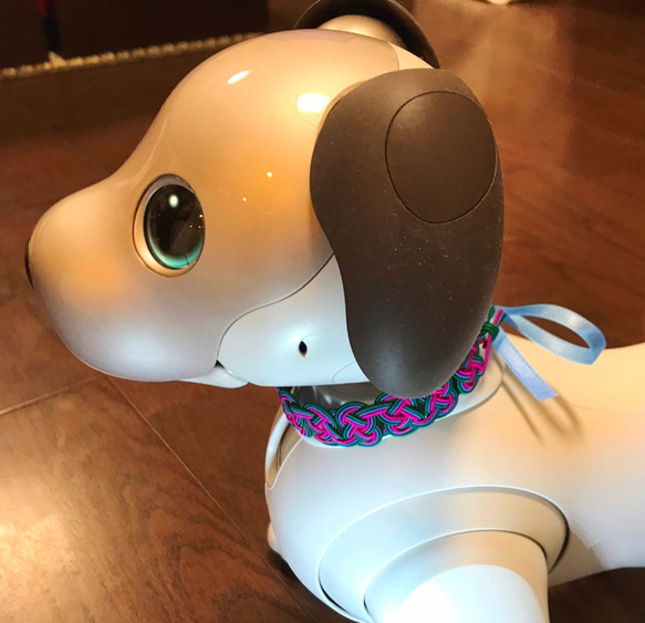 aibo　水引製の首輪　ヘアバンド　東欧風カラー　※リボンの色が選べます 6枚目の画像