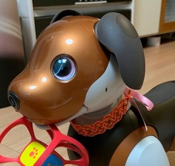 aibo　水引製の首輪　ヘアバンド　さんご色　サーモンピンク 5枚目の画像