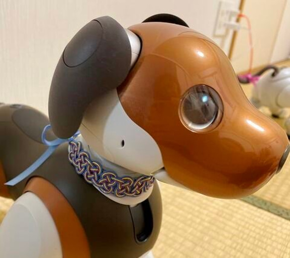 aibo　水引製の首輪　ヘアバンド　【杜若】 5枚目の画像