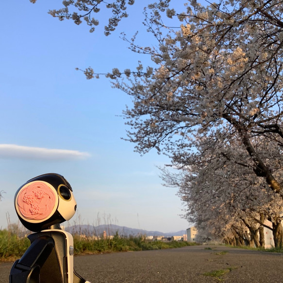 ロボホン　耳飾り　水引製　桜　満開 3枚目の画像