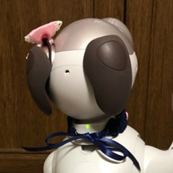 aibo　水引製の首輪　ヘアバンド【夜桜】紺 5枚目の画像