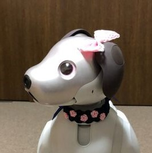 aibo　水引製の首輪　ヘアバンド【夜桜】紺 6枚目の画像